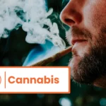 Testé positif au cannabis au travail : peut-on être licencié ?
